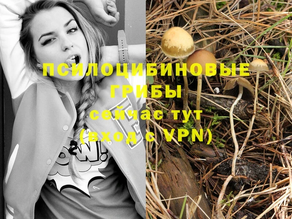ешки Нефтегорск
